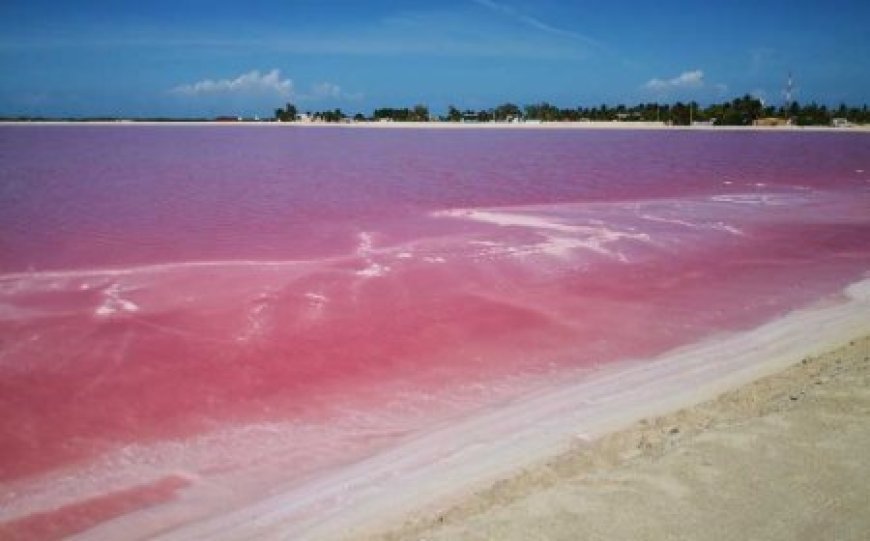 Las Coloradas!