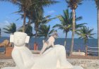 Playas pet friendly en Quintana Roo: disfruta el Caribe con tu mascota
