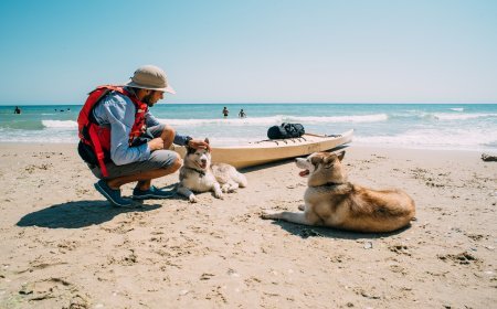 Destinos pet friendly en México para vacacionar en diciembre