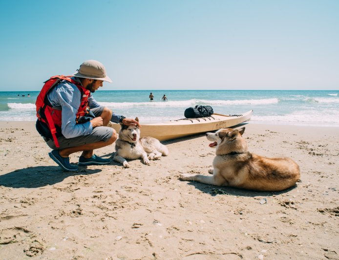 Destinos pet friendly en México para vacacionar en diciembre