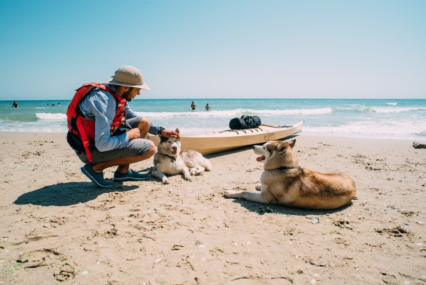Destinos pet friendly en México para vacacionar en diciembre