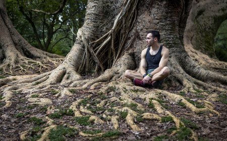 Bienestar Sostenible y Consumo Consciente: un camino hacia una vida equilibrada y responsable