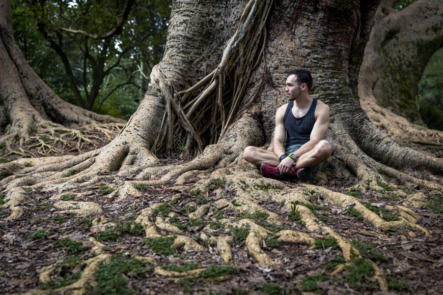 Bienestar Sostenible y Consumo Consciente: un camino hacia una vida equilibrada y responsable