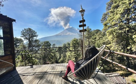 Bienestar y conexión con la naturaleza: viajar para reconectar