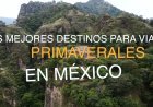 La estación más colorida del año transforma pueblos mágicos, bosques y ciudades en escenarios llenos de vida.