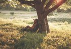 Slow living: el arte de vivir con intención en un mundo acelerado