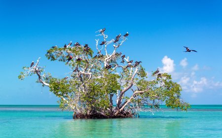 Destinos eco-friendly en México que están marcando tendencia