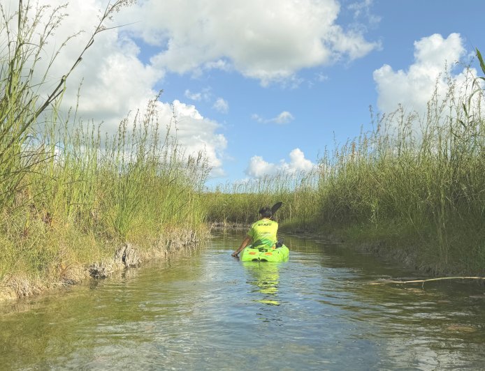 Disfruta de un viaje a la selva maya en una experiencia que incluye tierra, agua y aire.