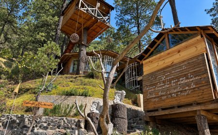 Cabañas entre el bosque: escapadas en México para desconectarte