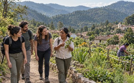Descubre México más allá del paisaje a través del turismo comunitario